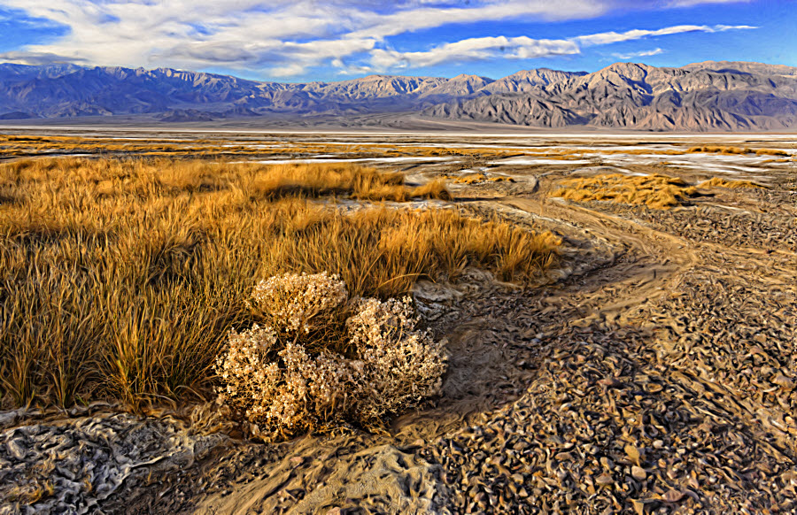 Salt Flats 136DX_Painting